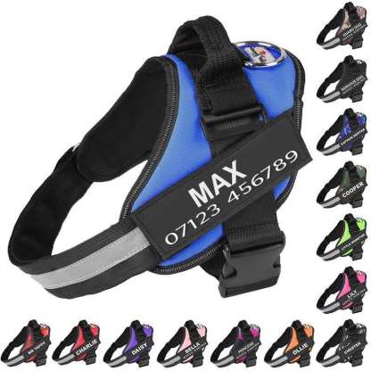 Personalised No Pull Dog Harness