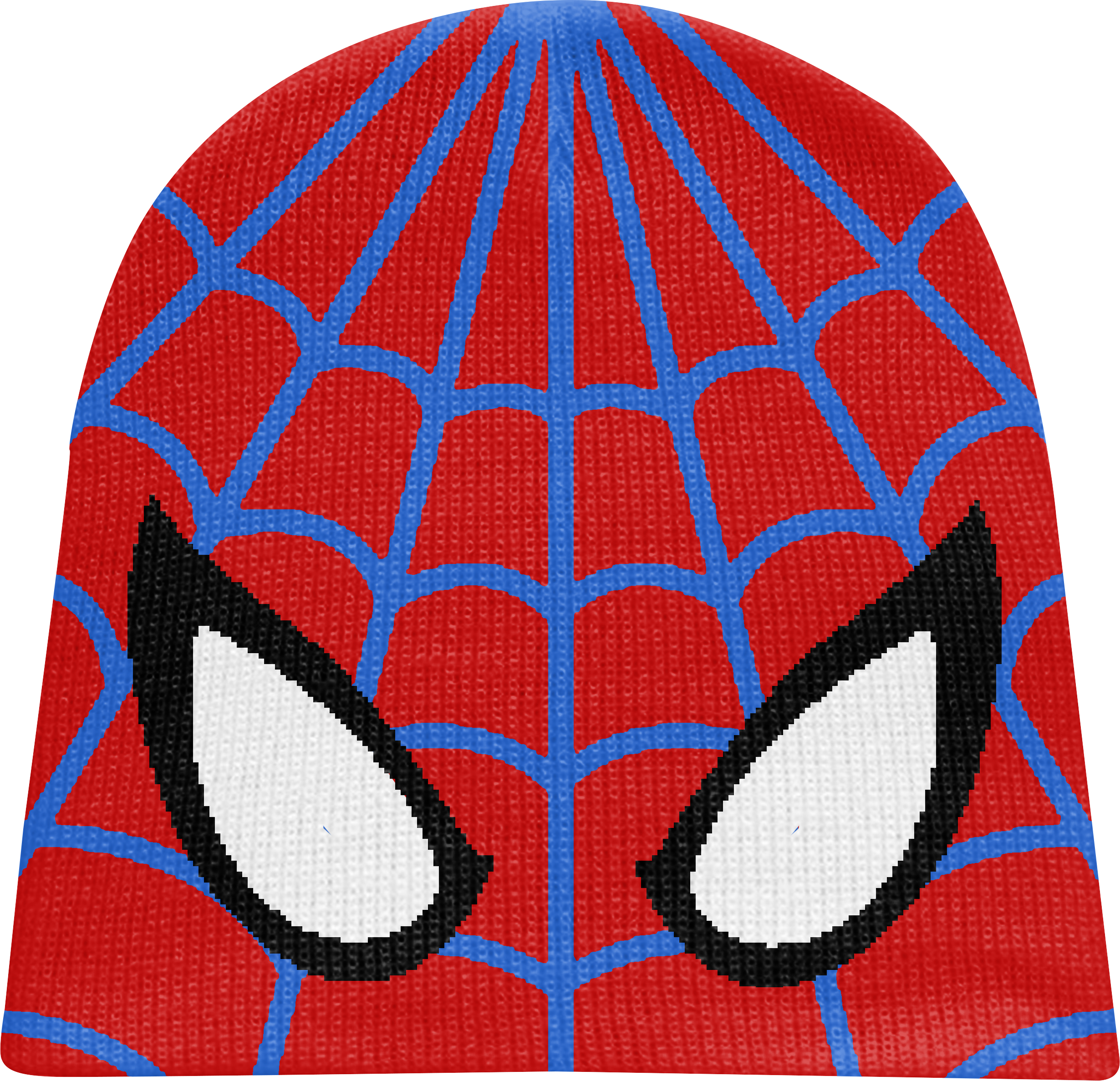 “SPIDER SOCIETY" BEANIES