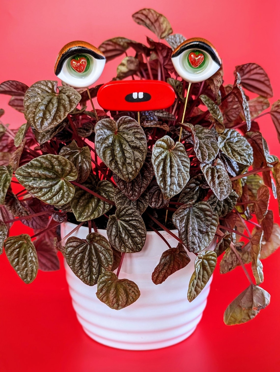 🤣Valentines Plant eyes accessory✨
