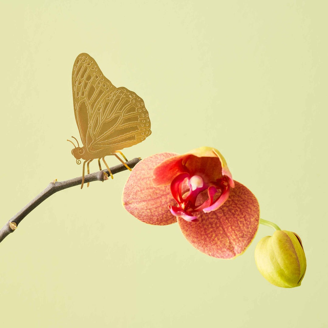 Plant Animal Decorations