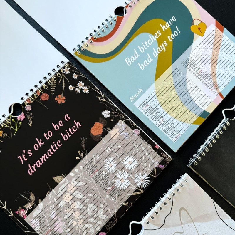 🔥Funny ‘Fuck It 2025’ Calendar