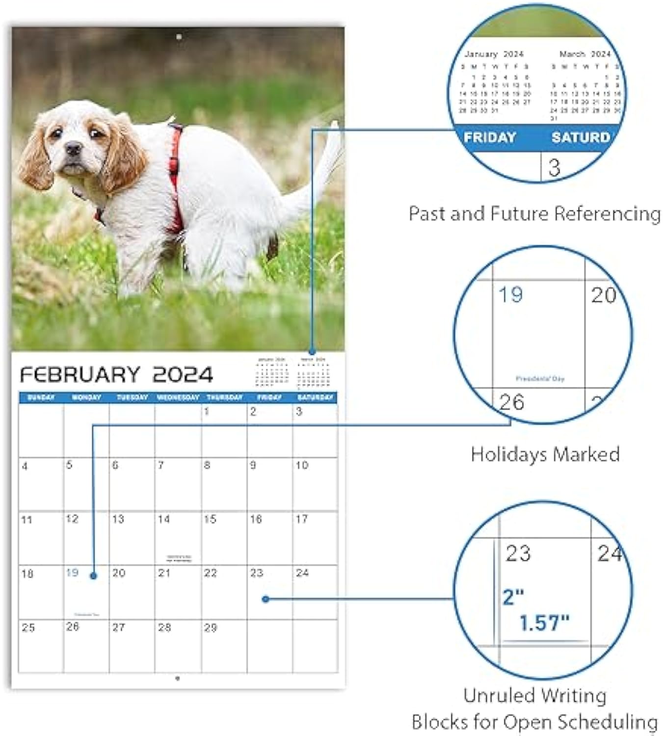 2024 Wall Calendar – 12 Monthly Pooping Dogs Calendar