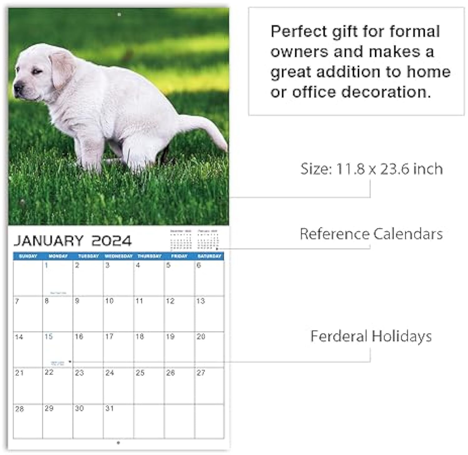2024 Wall Calendar – 12 Monthly Pooping Dogs Calendar
