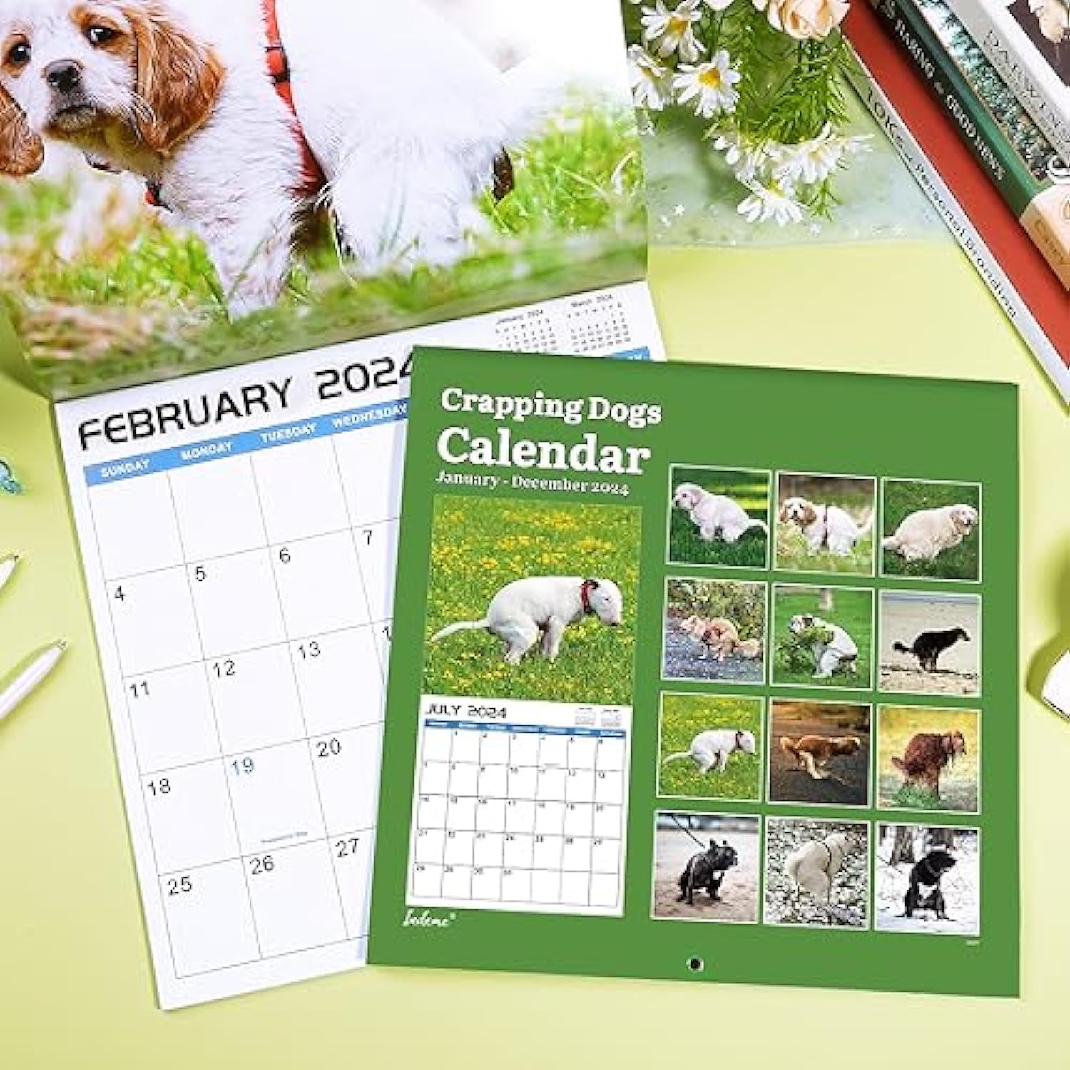2024 Wall Calendar – 12 Monthly Pooping Dogs Calendar