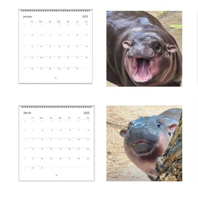 🦛Moo Deng Calendar 2025 Calendar