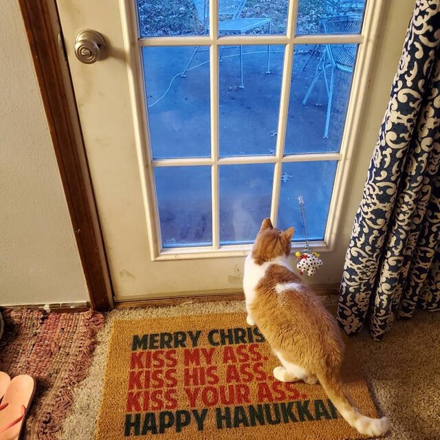 Funny Christmas Doormat