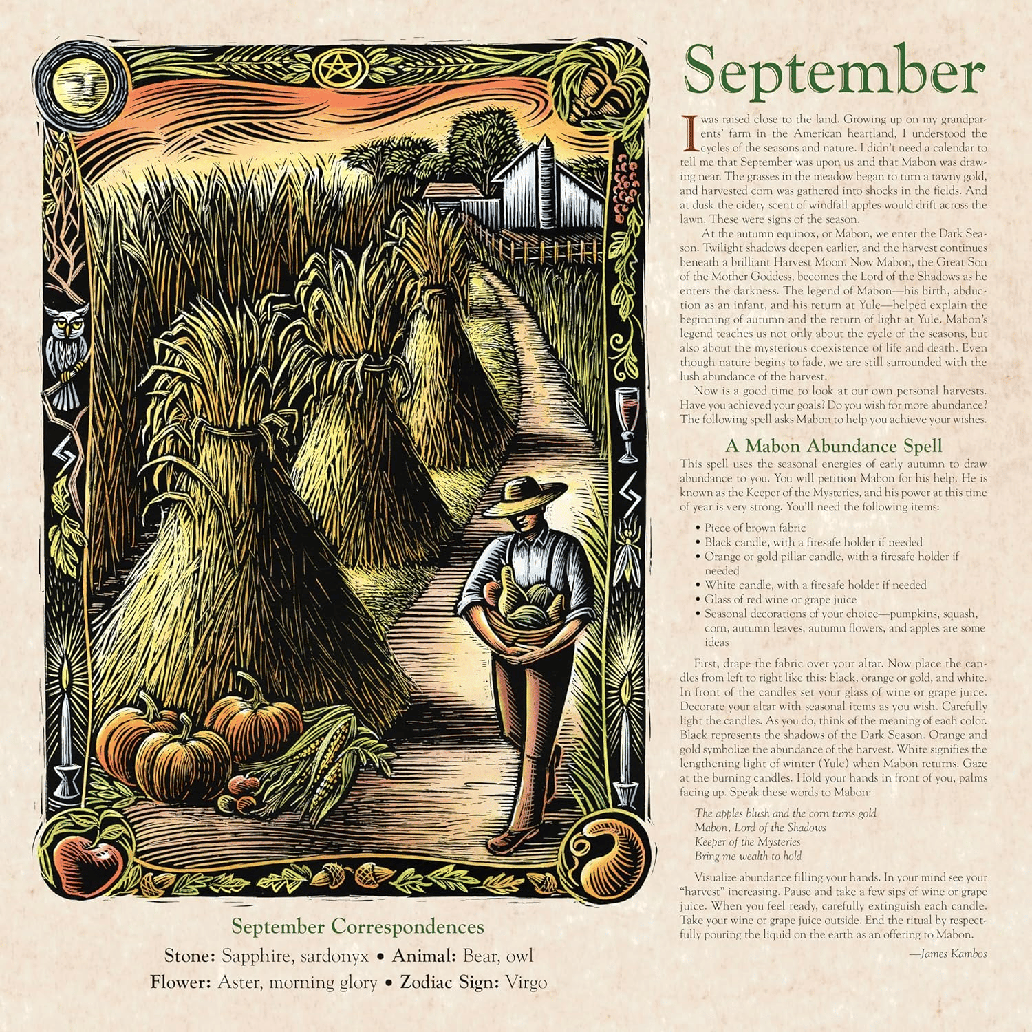 🔥Hot Sale 49% OFF - 2025 Witches' Calendar