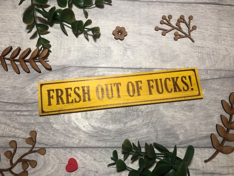 🤣Funny Wooden Sign - No Stupid People