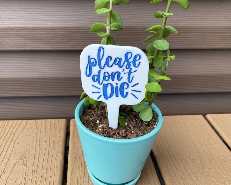 🔥Hot Sale ✨Fun Plant Stake