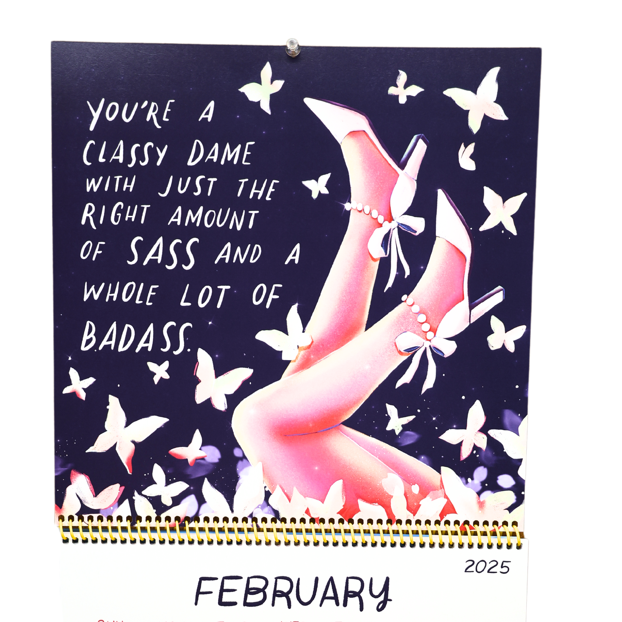 📅Hey Girl: Slay the Day 2025 Calendar