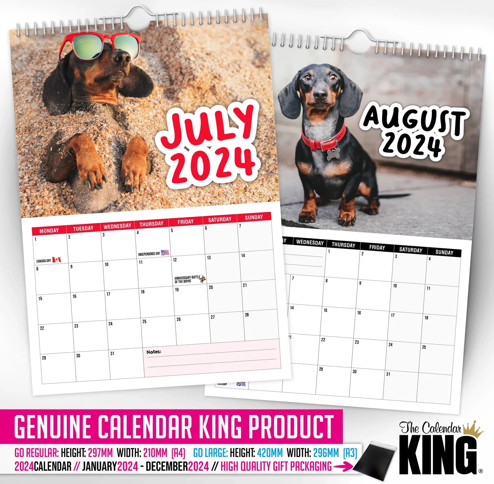 🤣Cheeky Dachshunds - 2024 Wall Calendar