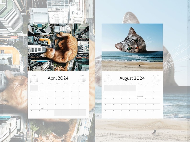 LAZY CAT CALENDAR 2024