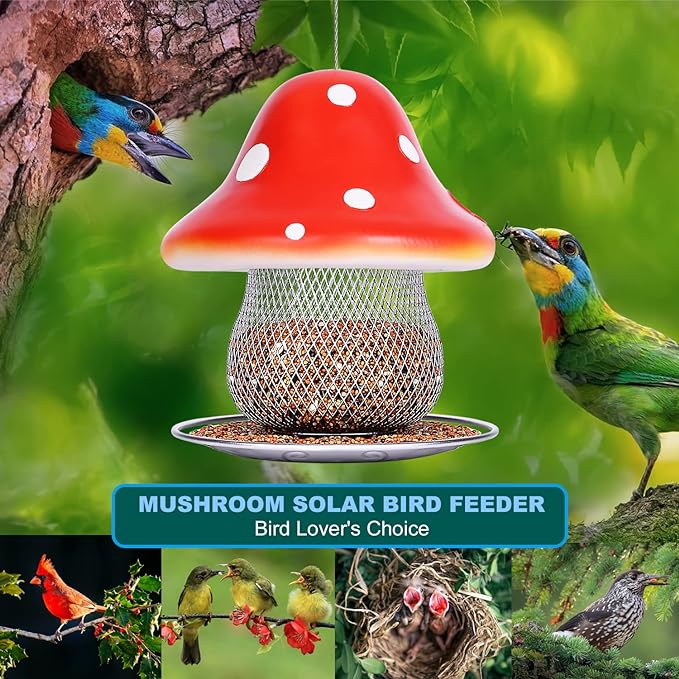 Mushroom Solar Bird Feeder -Bird Love's Choice🐦