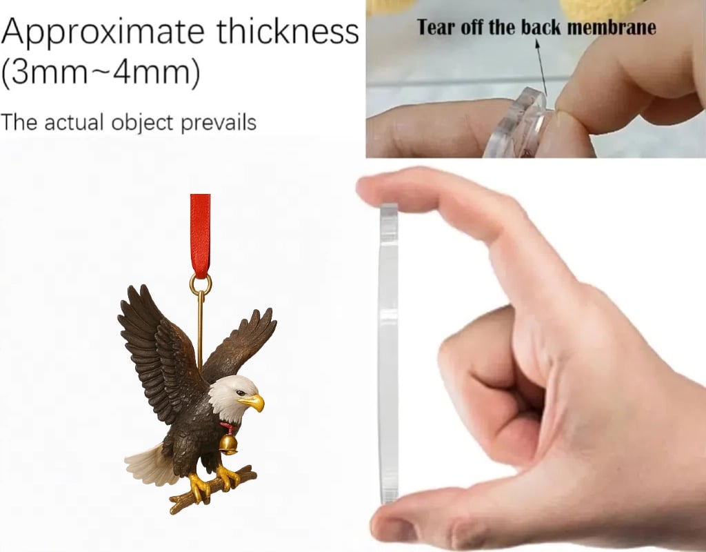 2025 Bird Advent Calendar