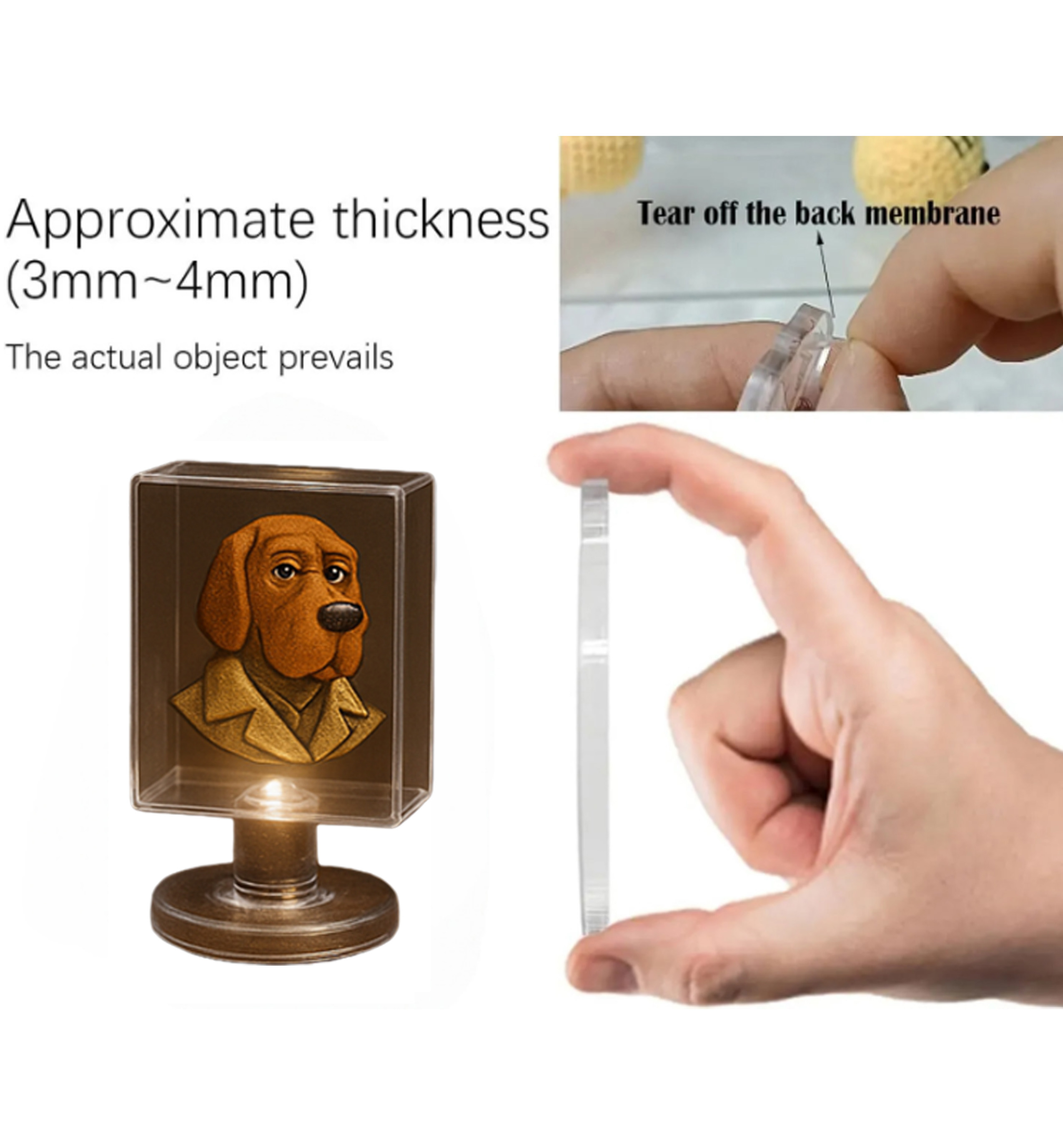 NCPC 43th Anniversary Advent Calendar 2025