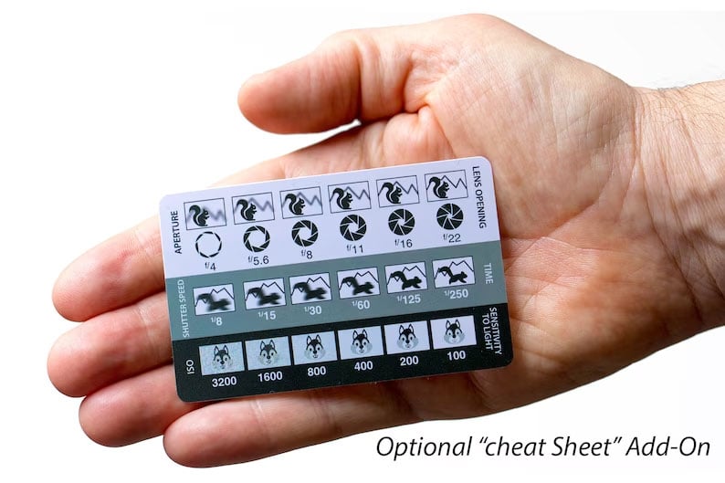 Golden Ratio/Fibonacci Composition View Finder📷