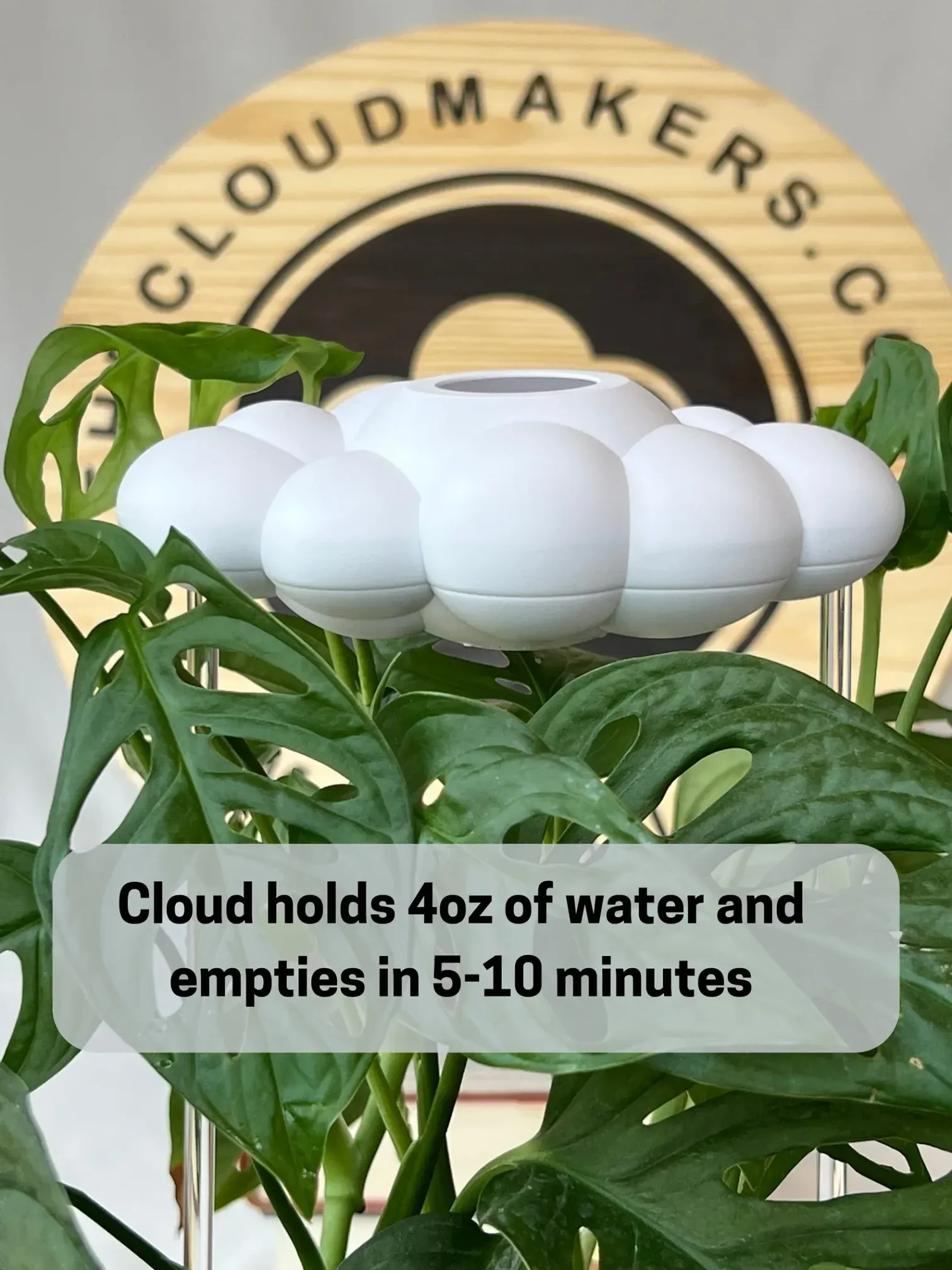 ORIGINAL DRIPPING RAIN CLOUD