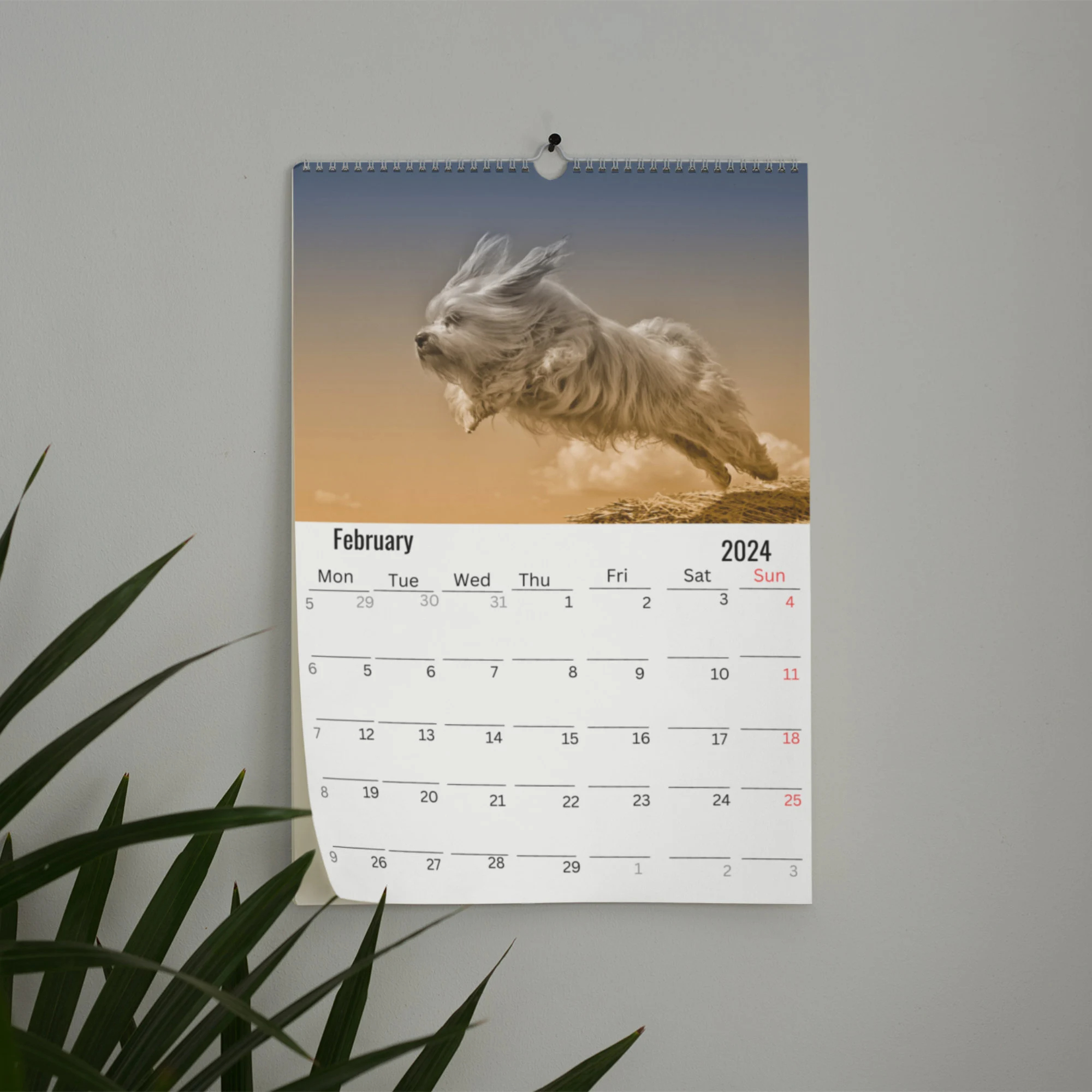 Havanese Dog Wall Calendar