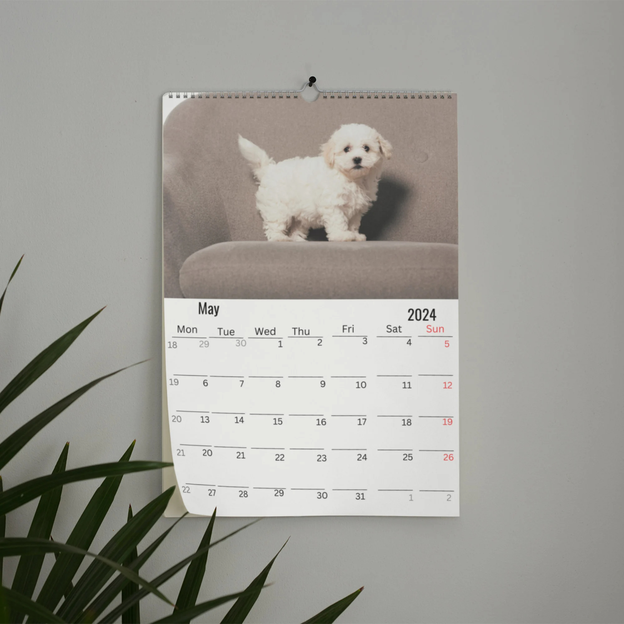 Havanese Dog Wall Calendar
