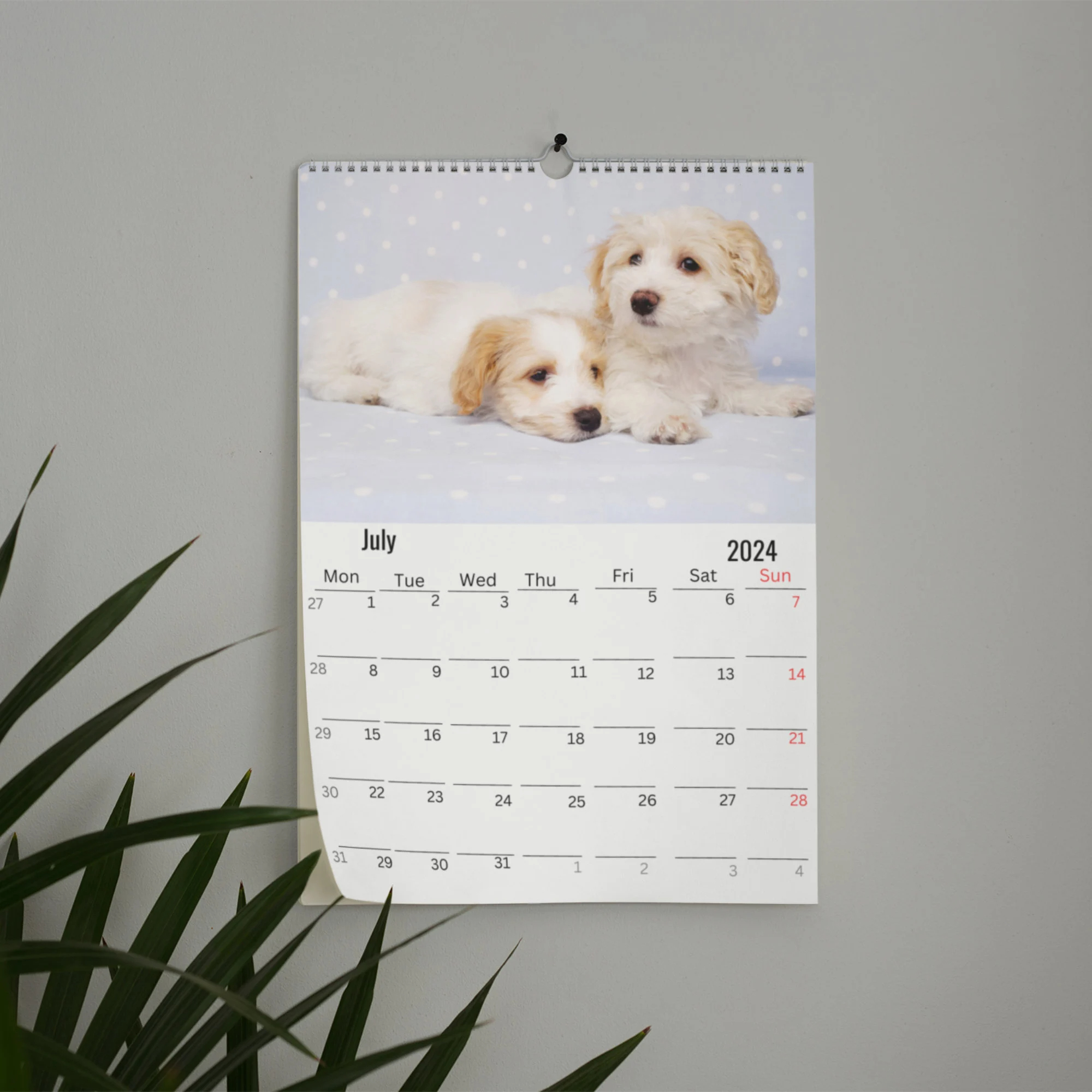 Havanese Dog Wall Calendar