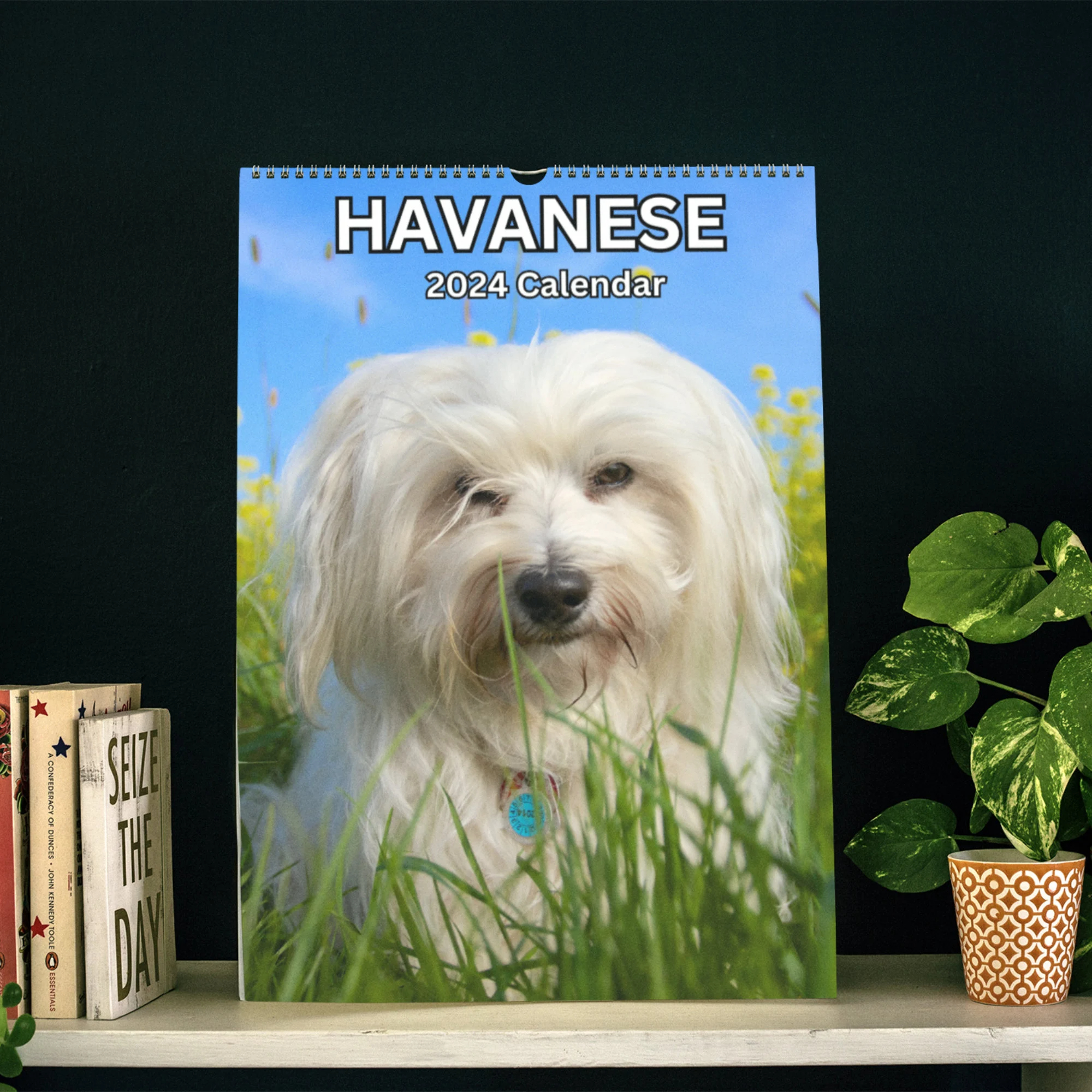 Havanese Dog Wall Calendar