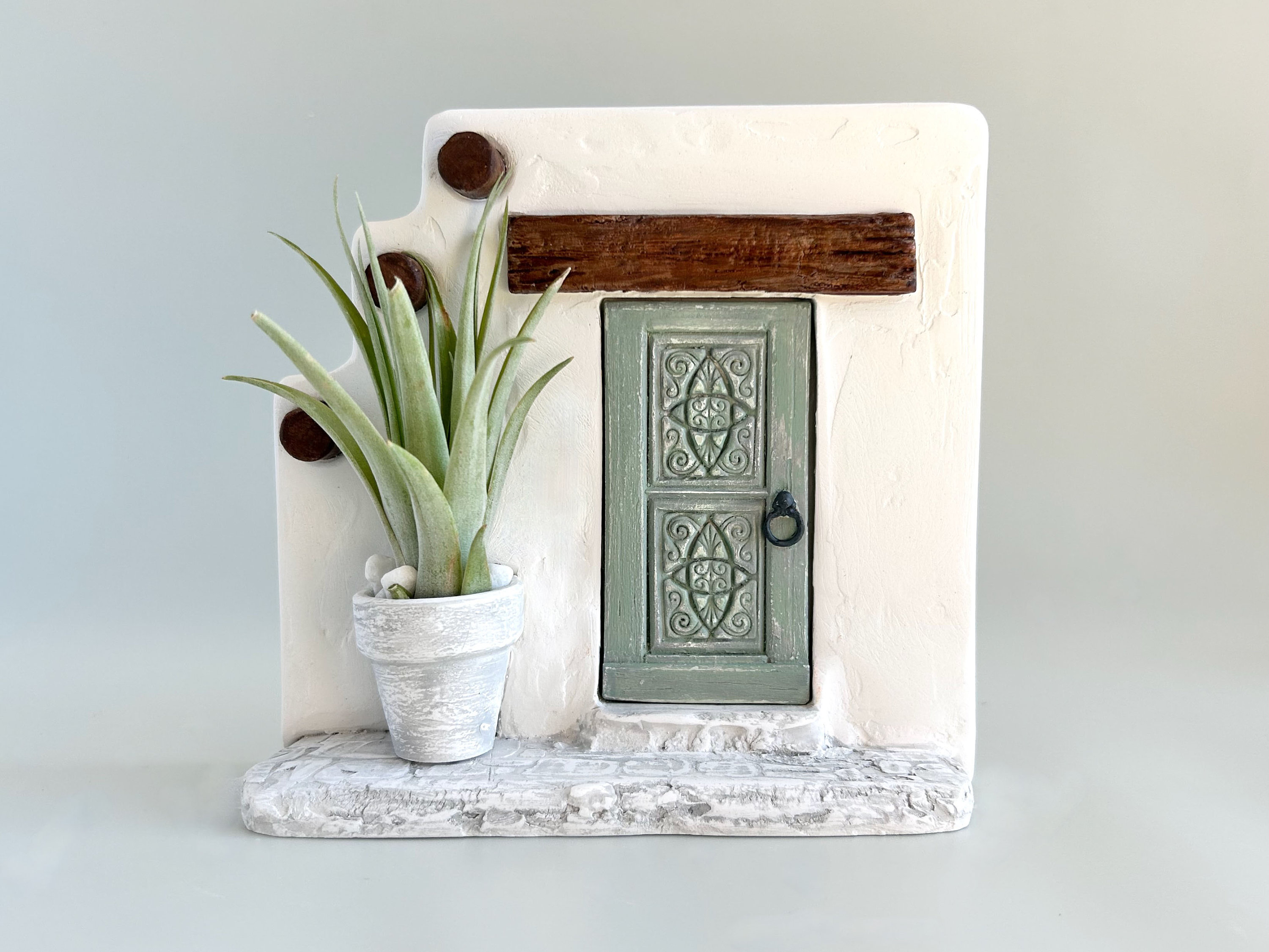 Whimsical Plant Decor Air Plant Display