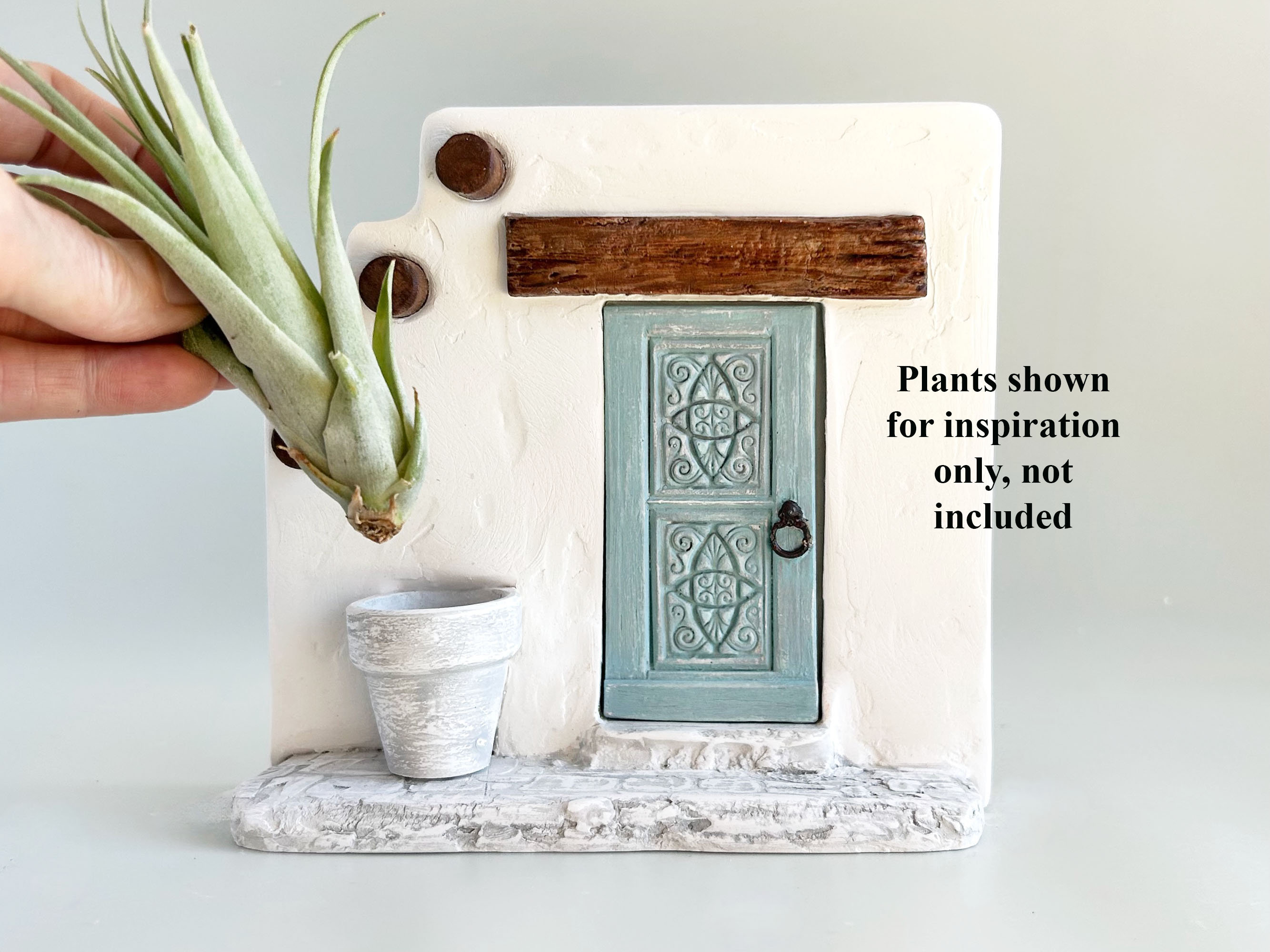 Whimsical Plant Decor Air Plant Display