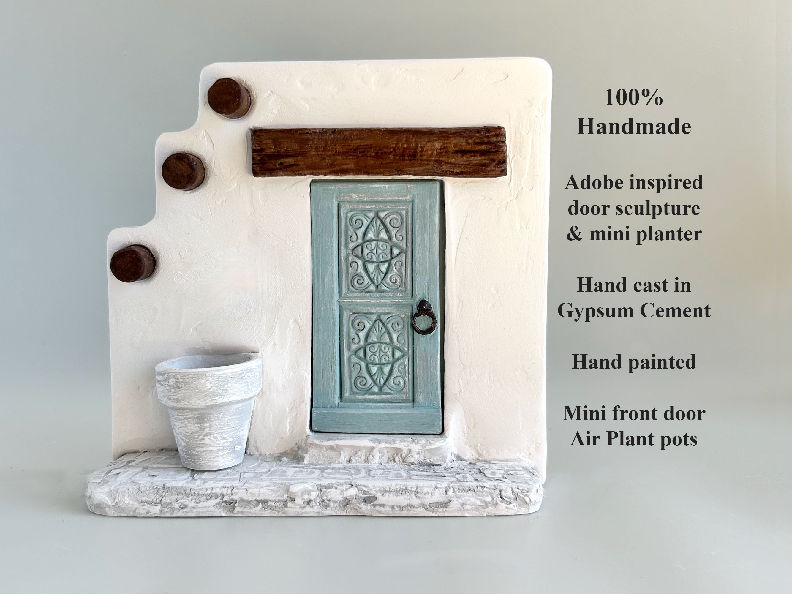 Whimsical Plant Decor Air Plant Display