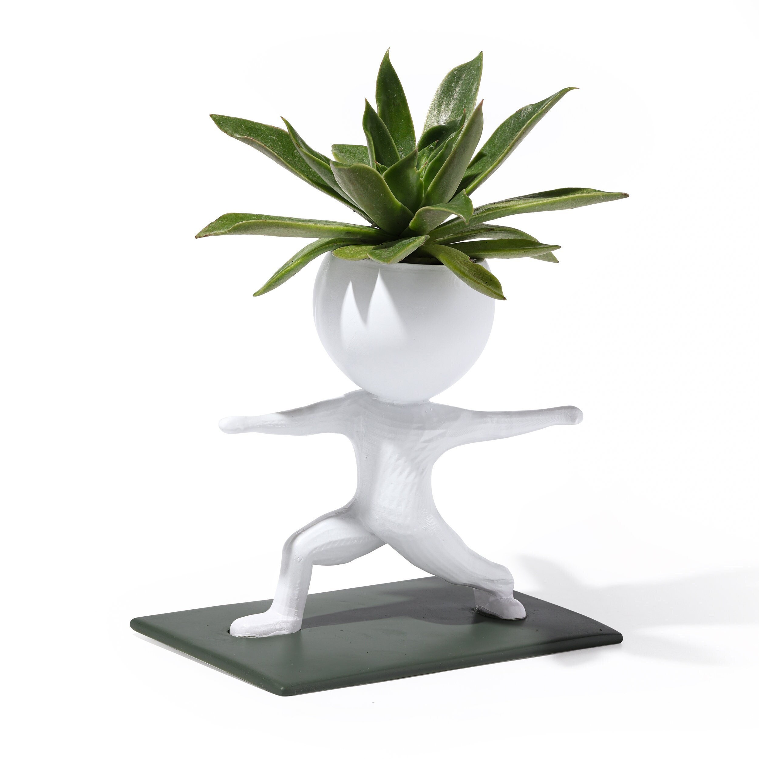 🤣Fitness Succulent Planter🌱