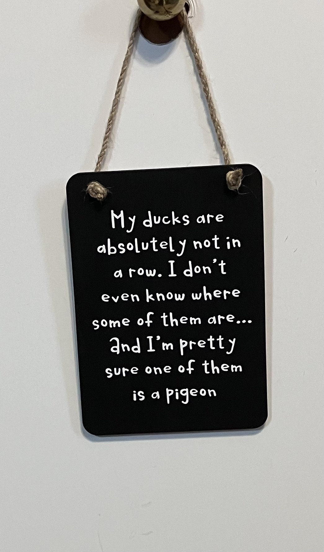 Fun Duck Sarcastic Sign