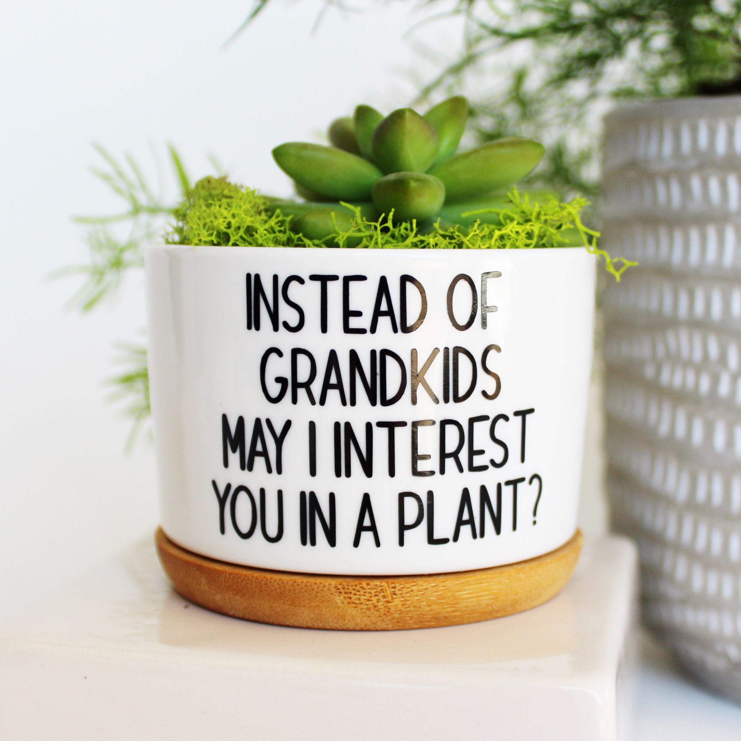 Funny Succulent Planter