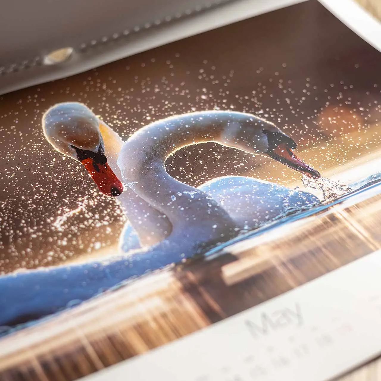 📅Wildlife Calendar 2024