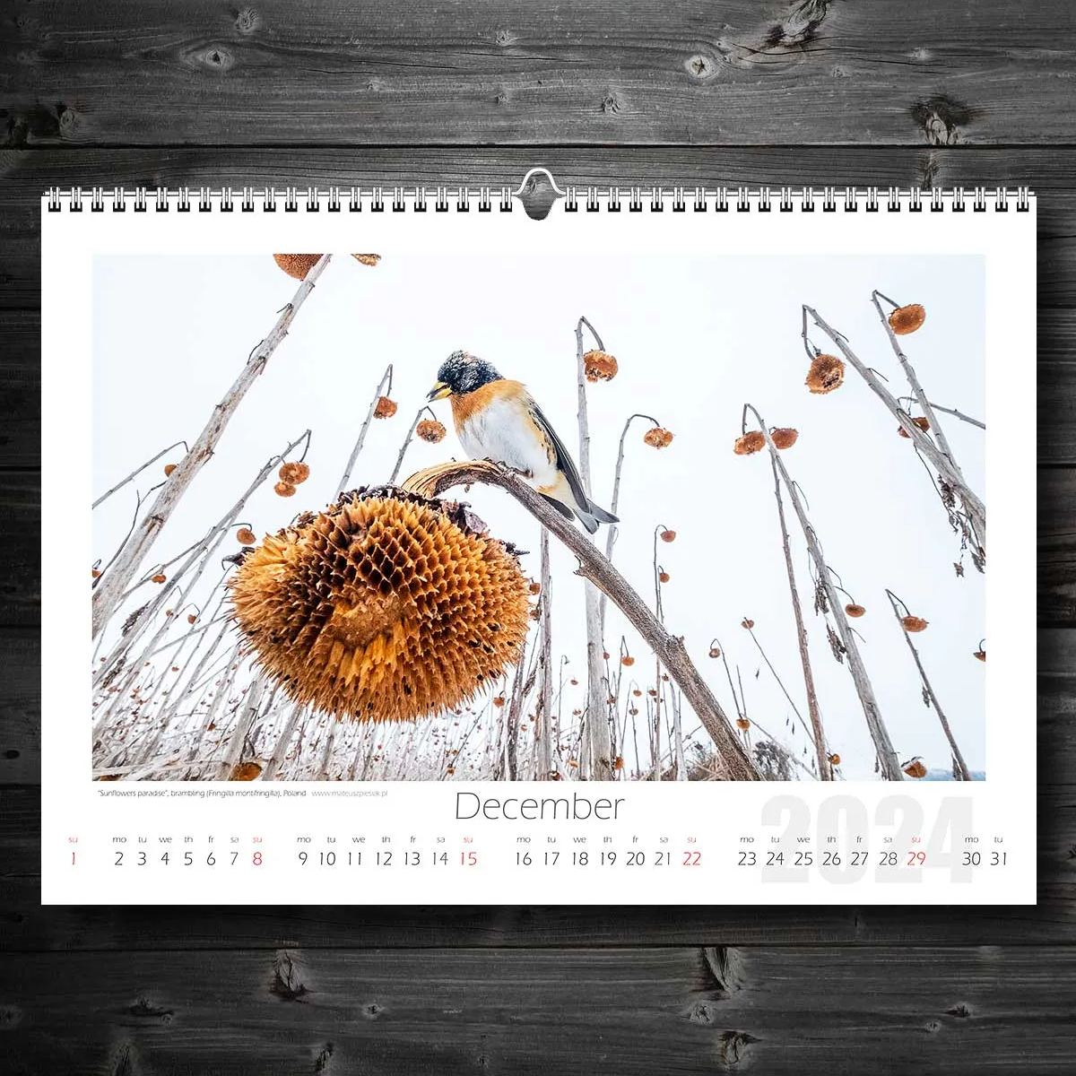 📅Wildlife Calendar 2024