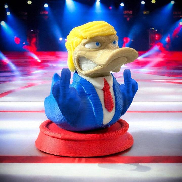 🔥Hot Sale 50% OFF - 🤣Funny 3D Printed Ducks
