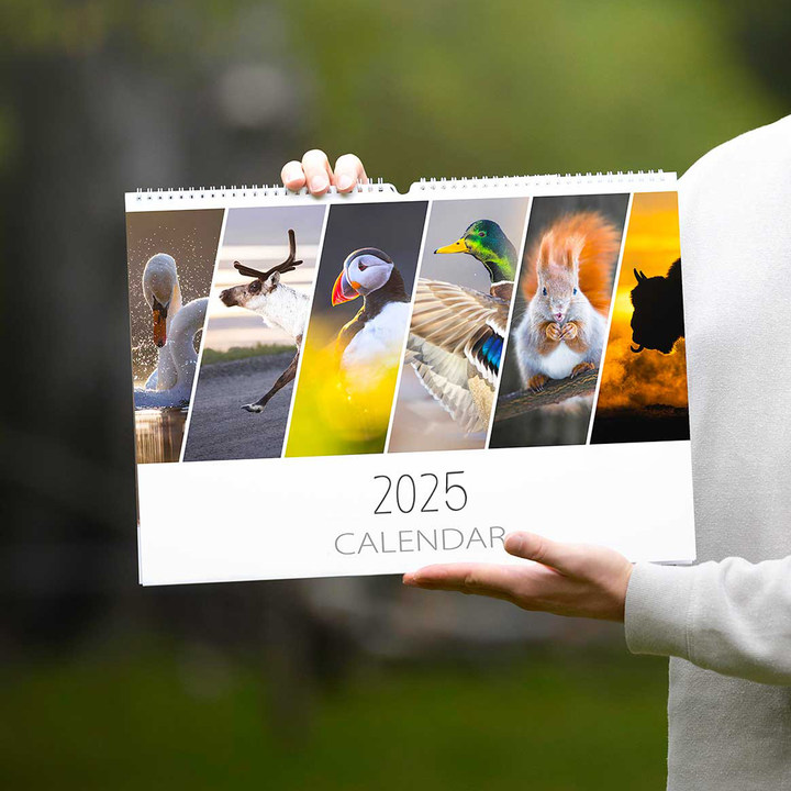 📅Wildlife Calendar 2025