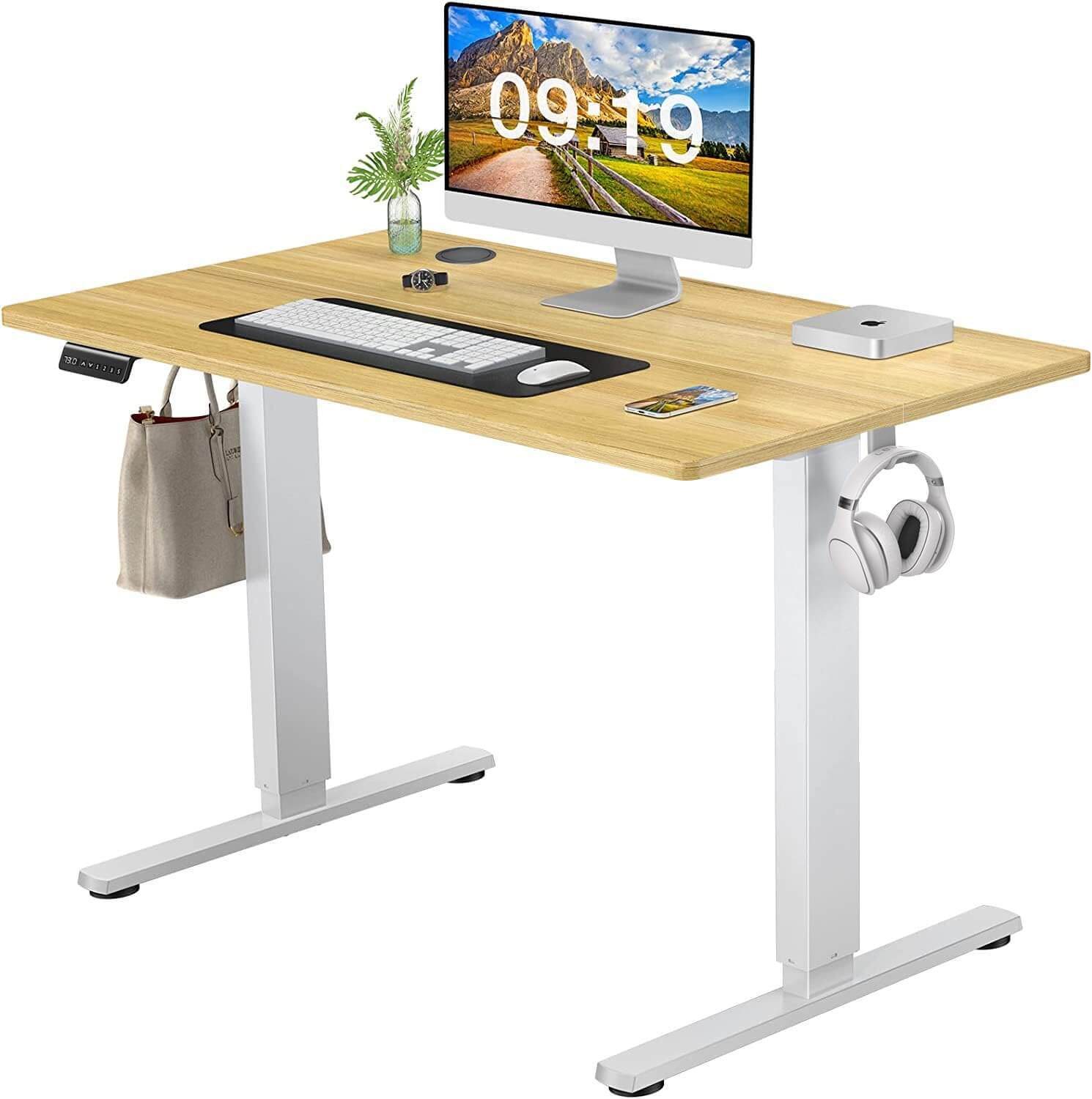 Electric Height Adjustable Standing Desk,Sit to Stand Ergonomic Computer Desk