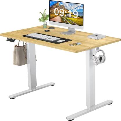 Electric Height Adjustable Standing Desk,Sit to Stand Ergonomic Computer Desk