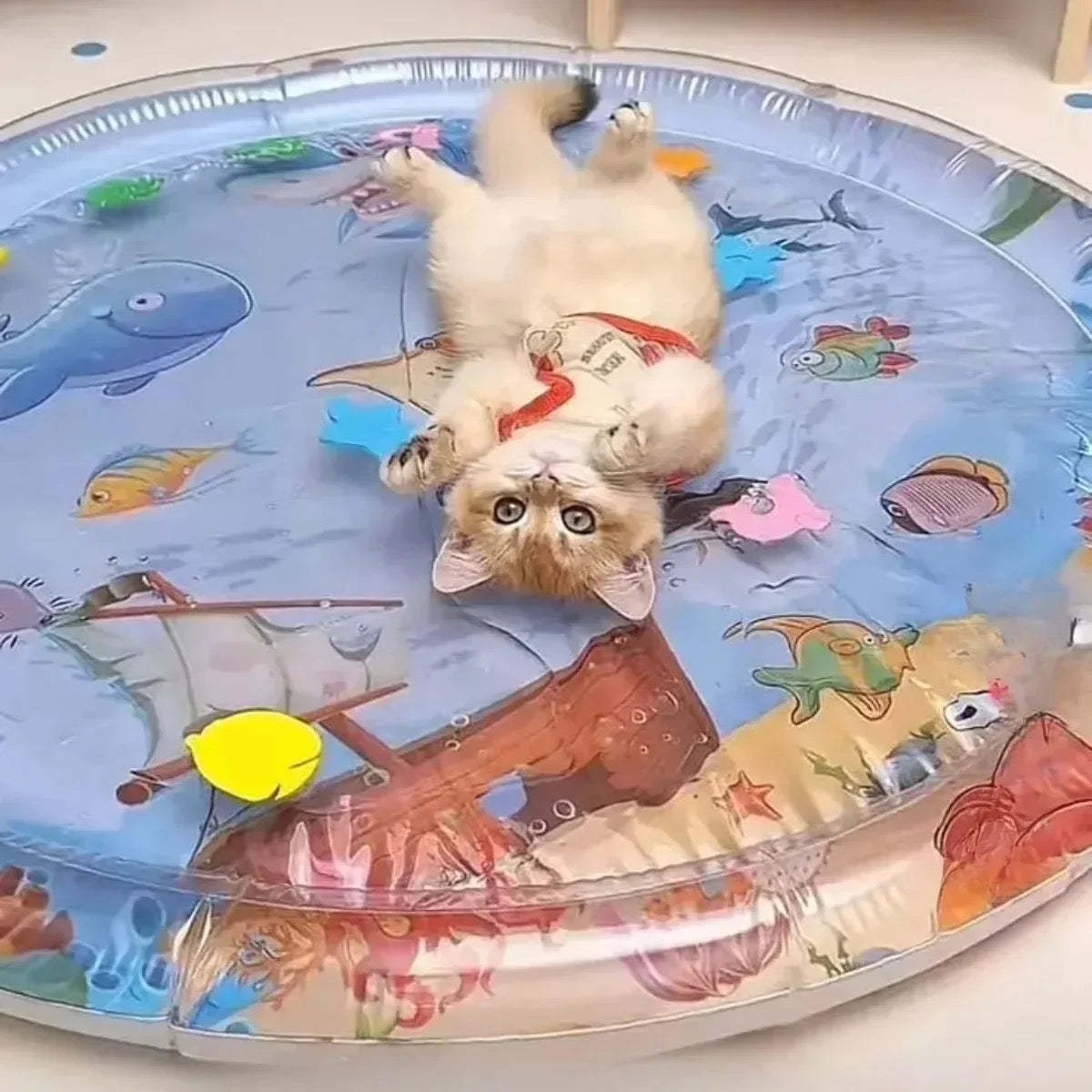 Kühlmatte für Katzen