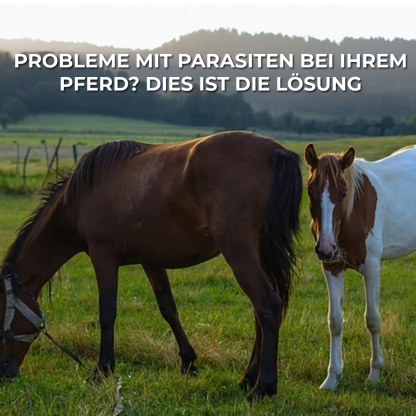Ivermectin-Paste für Pferde