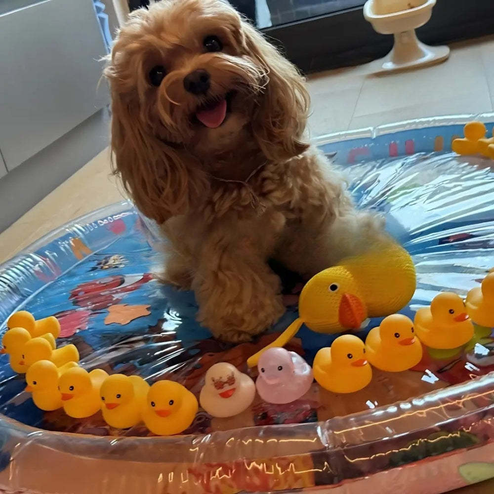 Ultra-komfortable Wassermatratze für Katzen und Hunde