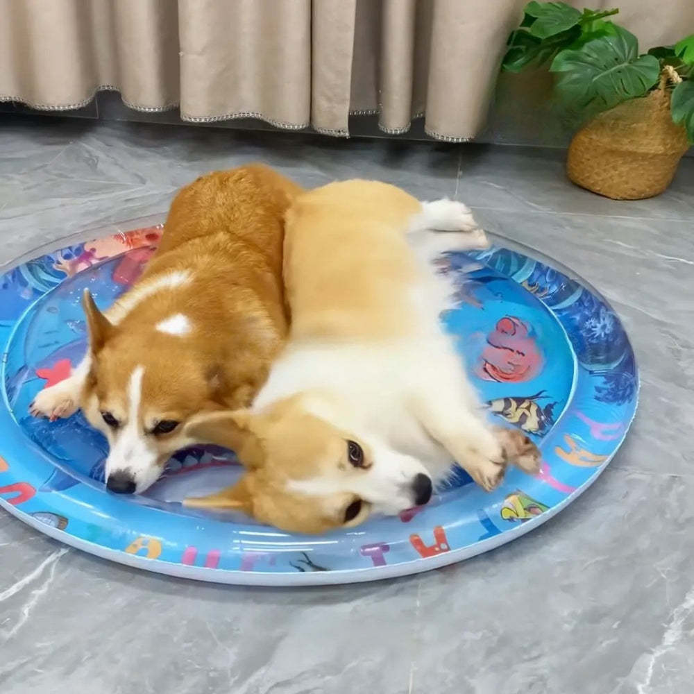 Ultra-komfortable Wassermatratze für Katzen und Hunde