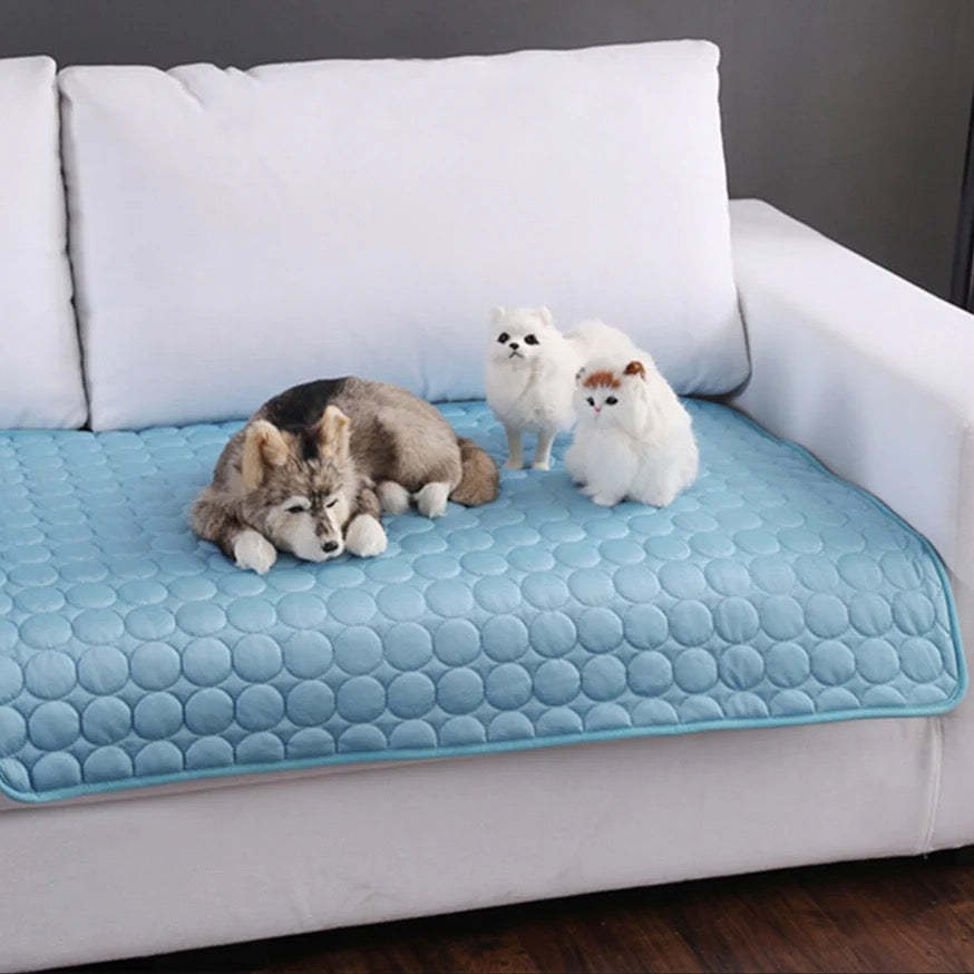 Innovative Kühlende Decke für Haustiere