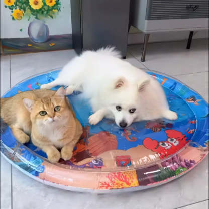 Ultra-komfortable Wassermatratze für Katzen und Hunde