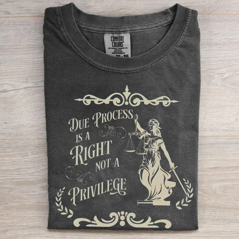 Due Process is a Right T-Shirt