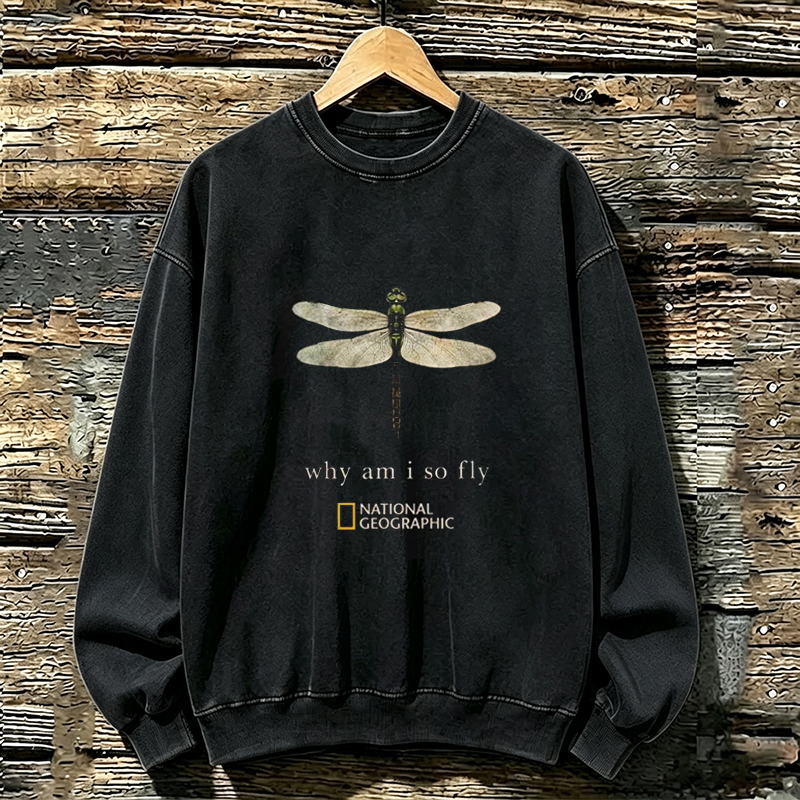 Why Am I So Fly Sweatshirt