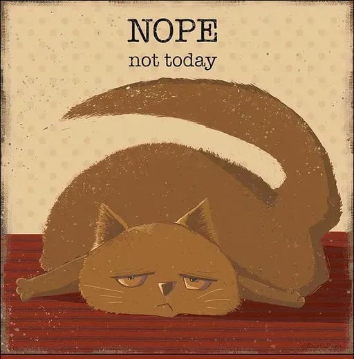 A Year of Snarky Cats 2024 Wall Calendar 