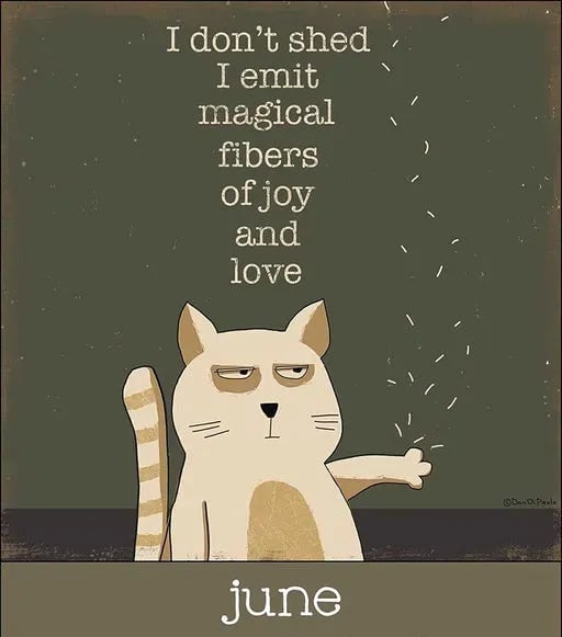 A Year of Snarky Cats 2024 Wall Calendar 