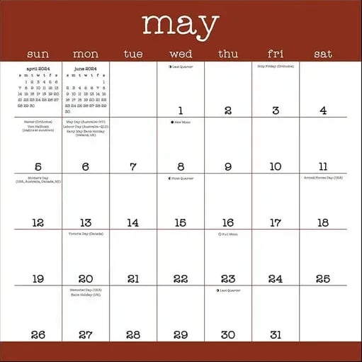 A Year of Snarky Cats 2024 Wall Calendar 