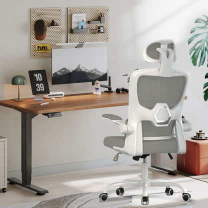 Chaise de Bureau Ergonomique