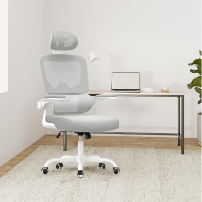 Chaise de Bureau Ergonomique
